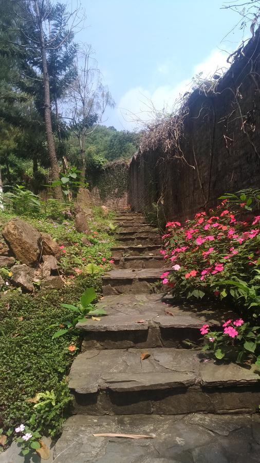 בא וי Bavi Homestead מראה חיצוני תמונה