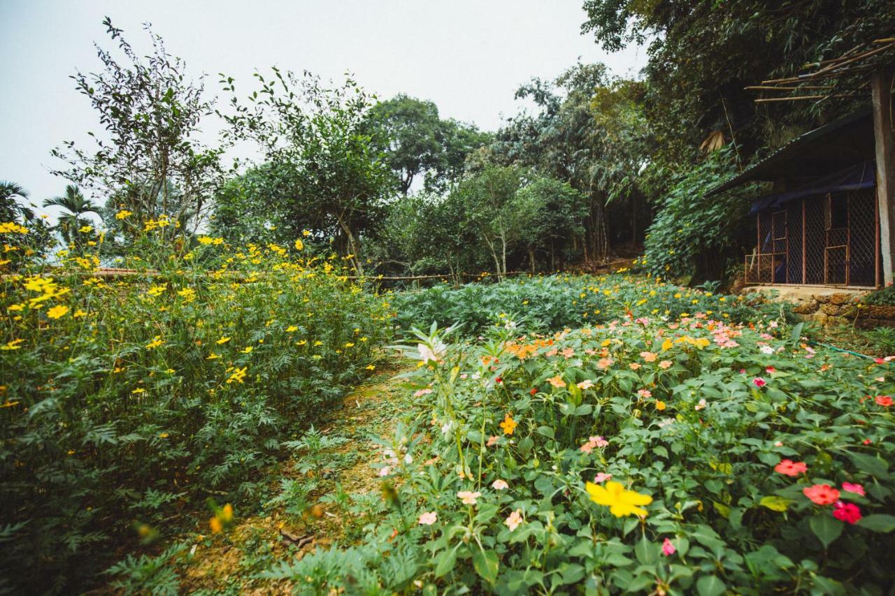 בא וי Bavi Homestead מראה חיצוני תמונה